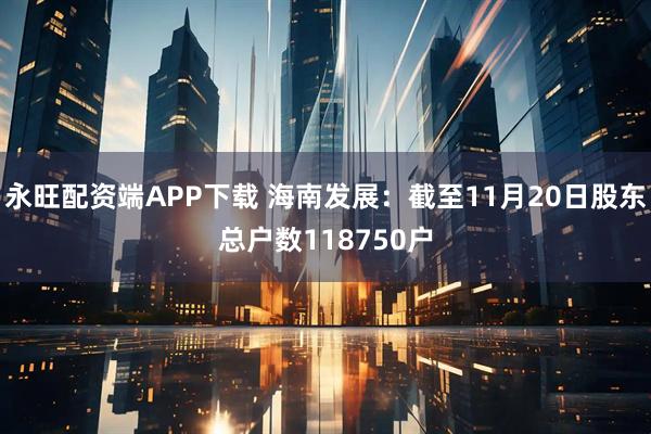 永旺配资端APP下载 海南发展：截至11月20日股东总户数118750户