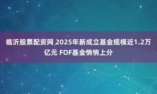 临沂股票配资网 2025年新成立基金规模近1.2万亿元 FOF基金悄悄上分