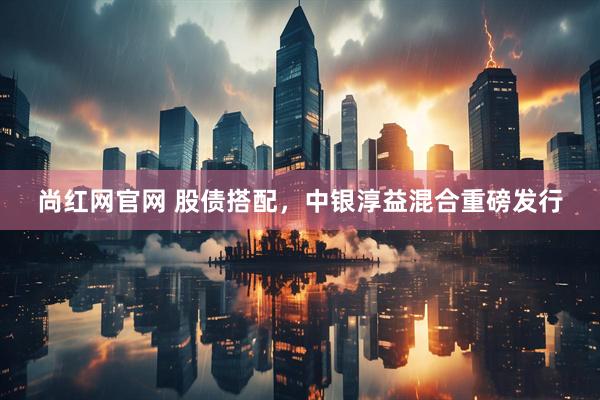 尚红网官网 股债搭配，中银淳益混合重磅发行